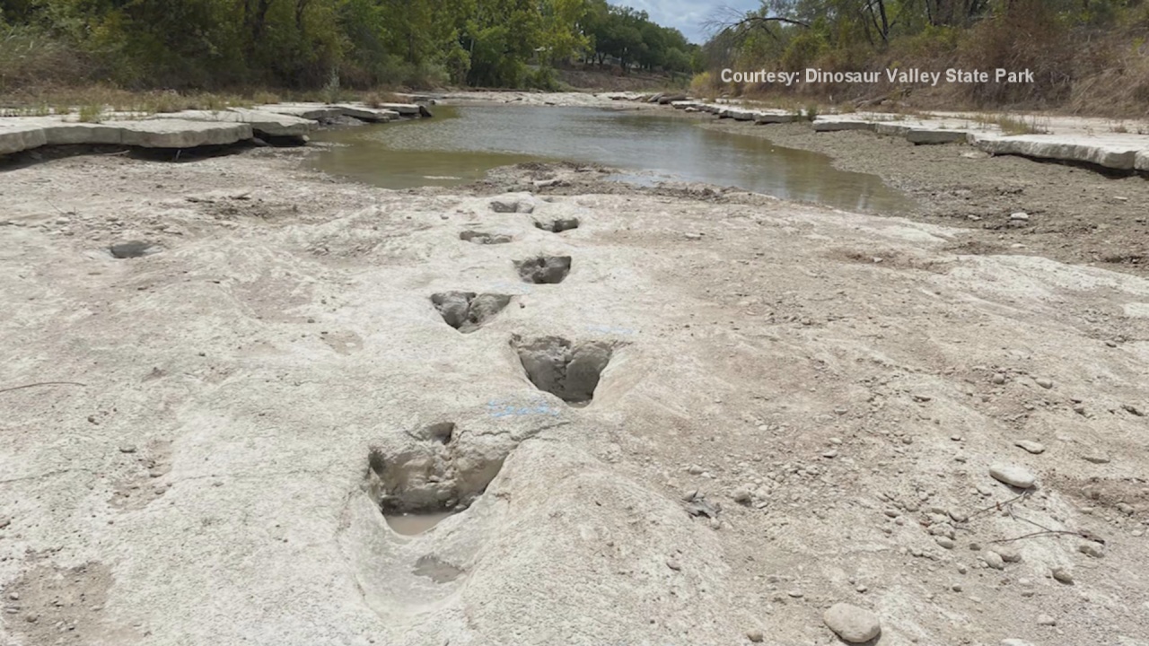 Dinosaur Tracks Uncovered Due To Severe Drought Conditions 