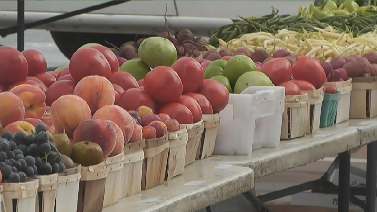 Farm Festival Returns To Downtown Fredonia