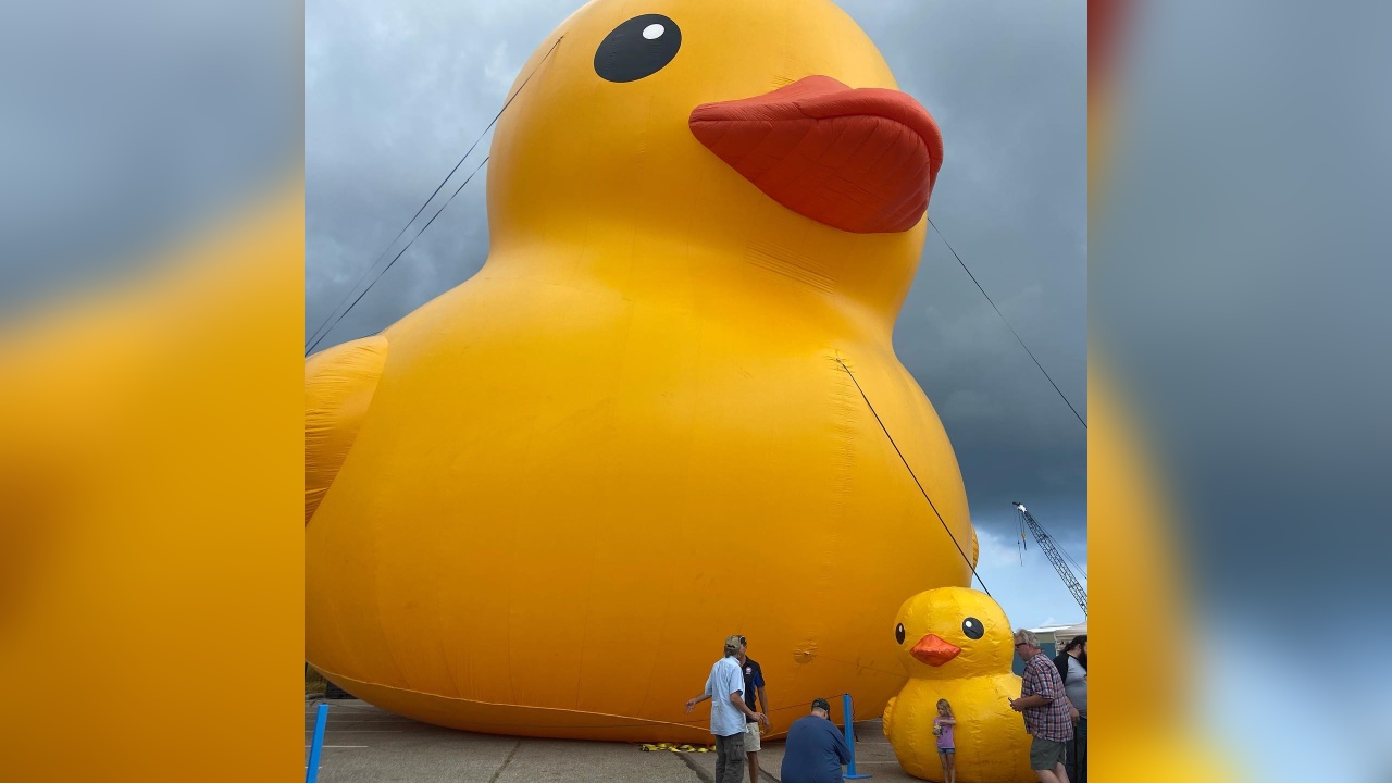 World's Largest Rubber Duck in Erie WNY News Now