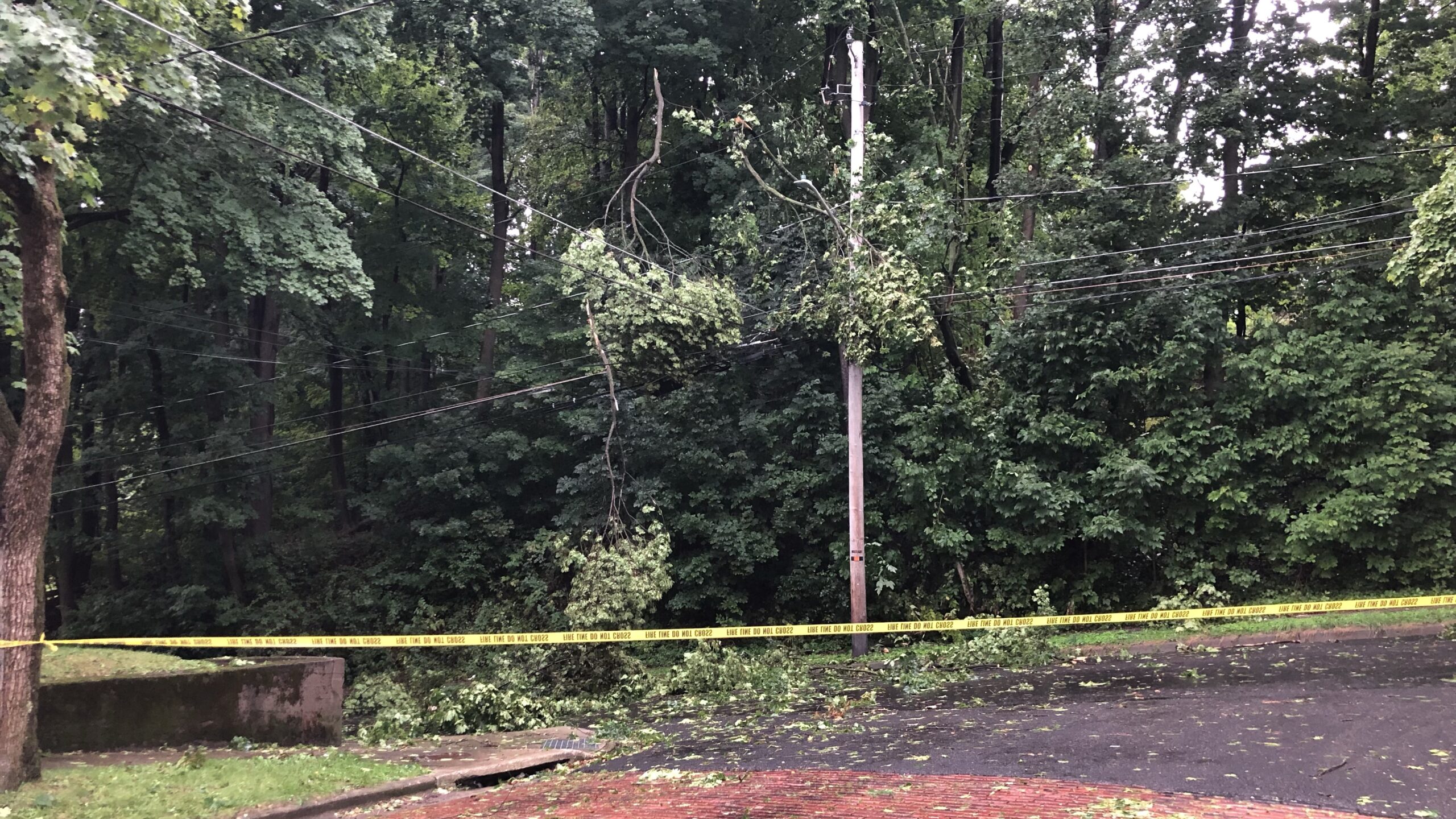 Gallery: Heavy Straight-line Winds Cause Damage Around Southern Chautauqua County