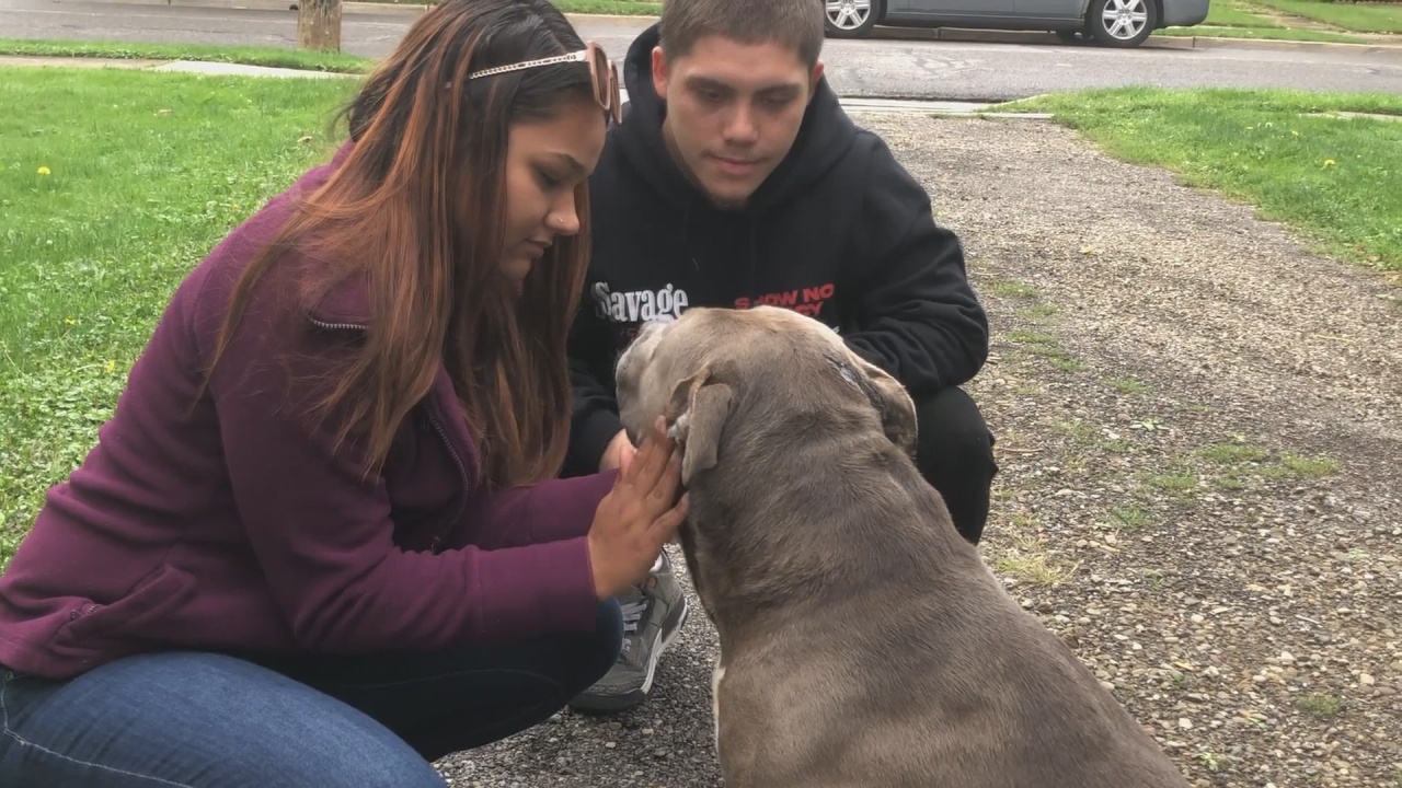 Owners Of Dog Beaten With Wrench Call For Justice