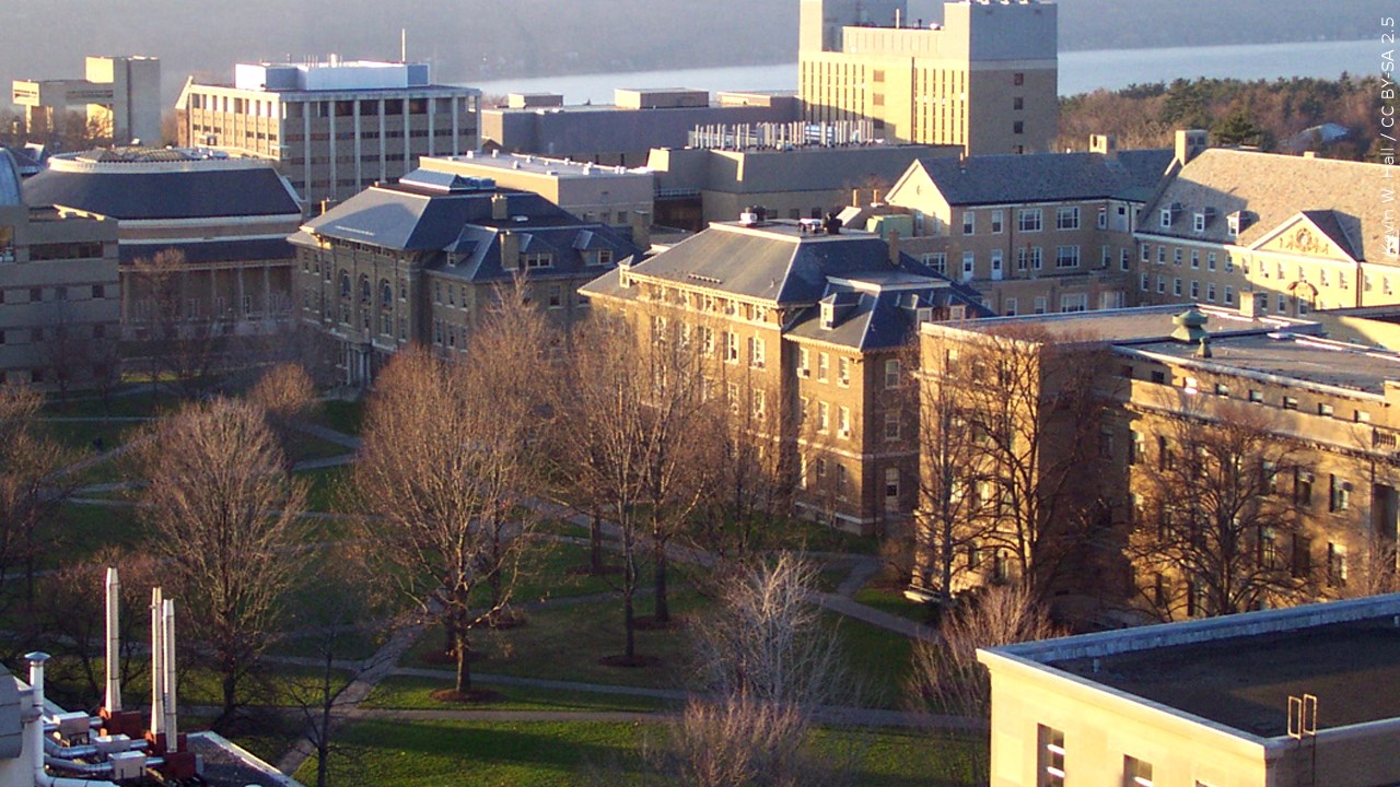 New York’s Bold Move: An Emerging Technology Powerhouse