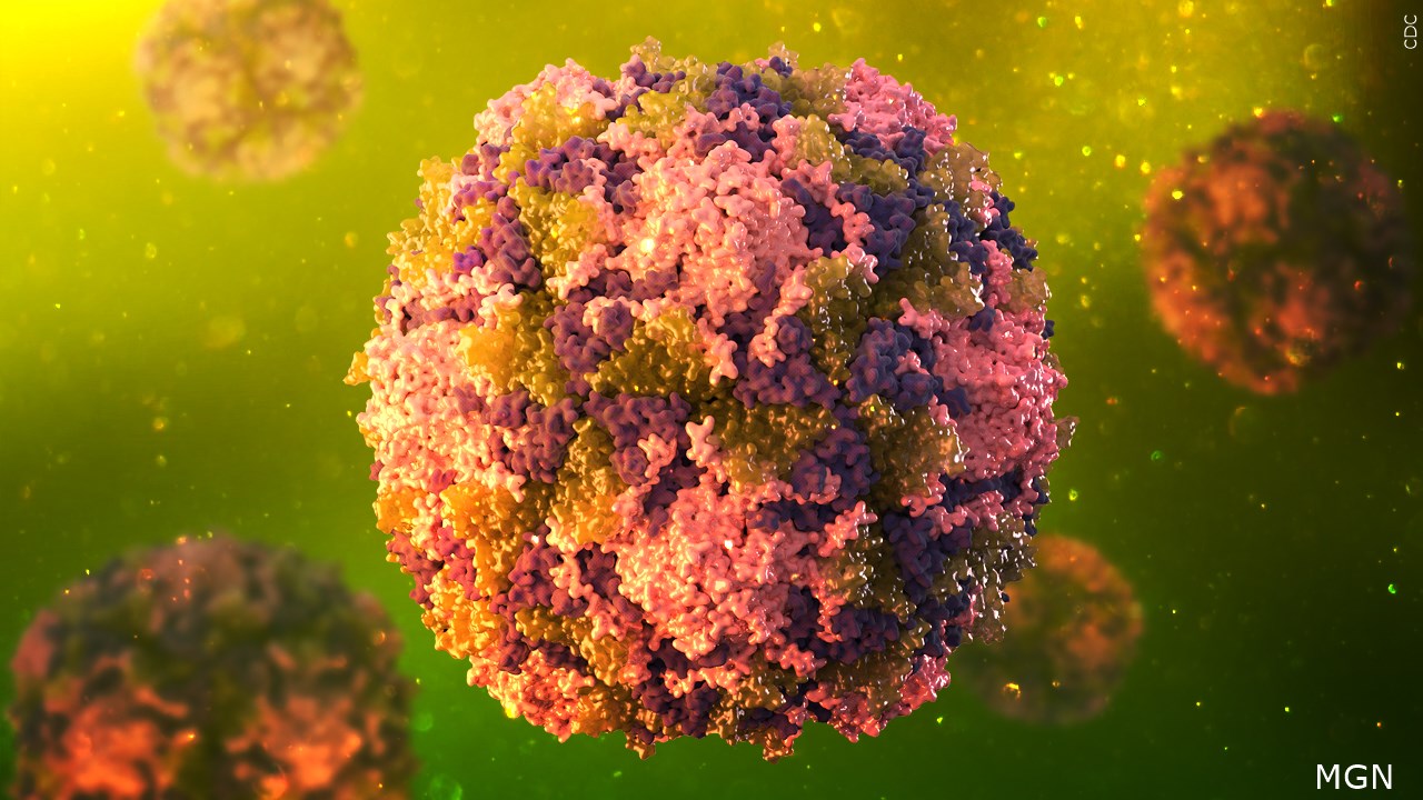 New York’s Governor Declares State Disaster Emergency For Poliovirus
