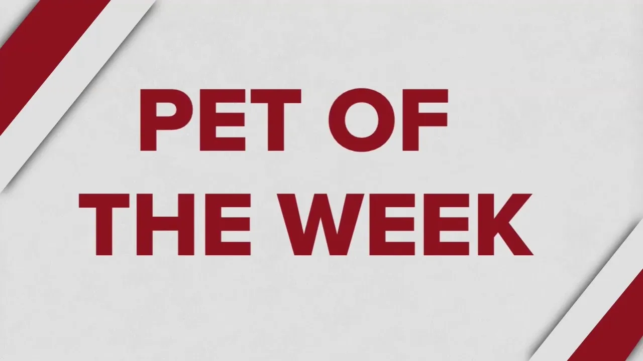 Pet of the Week