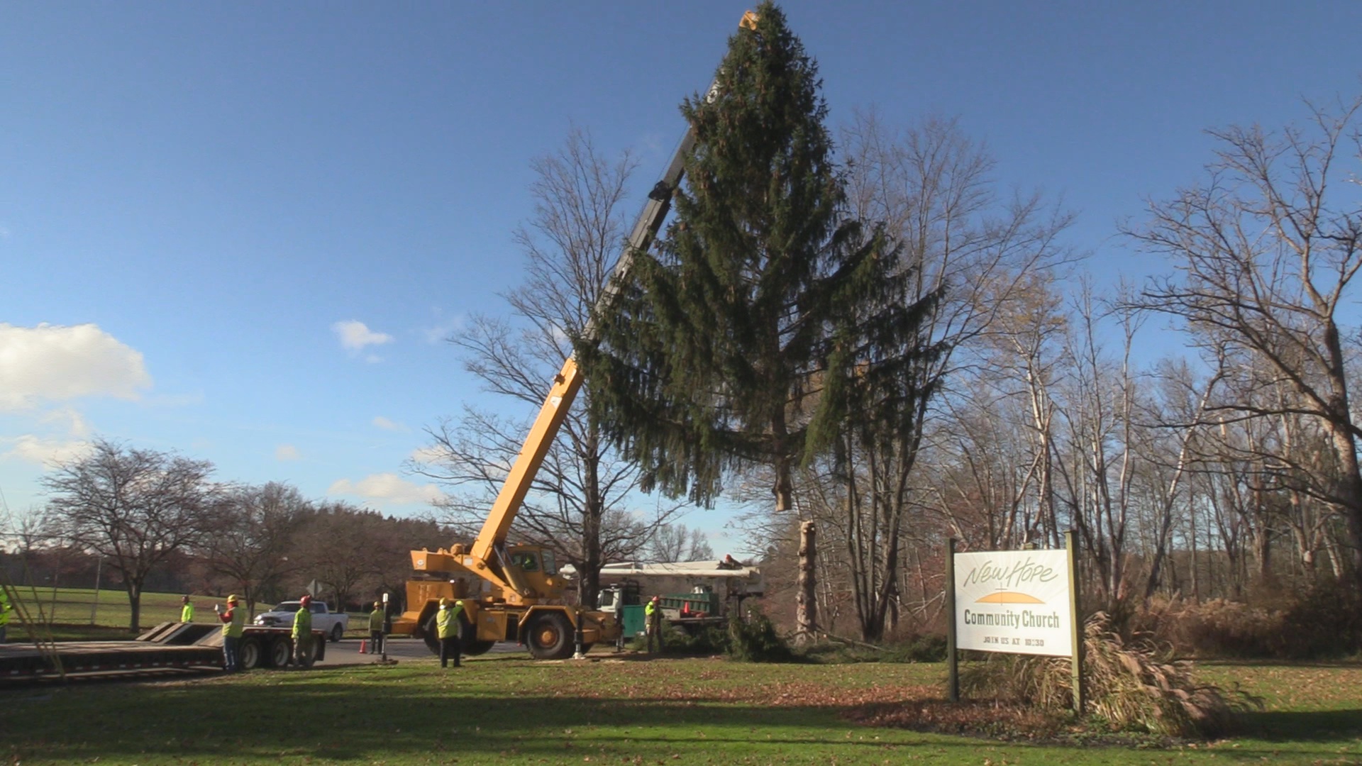 City Christmas Tree Harvested In Jamestown