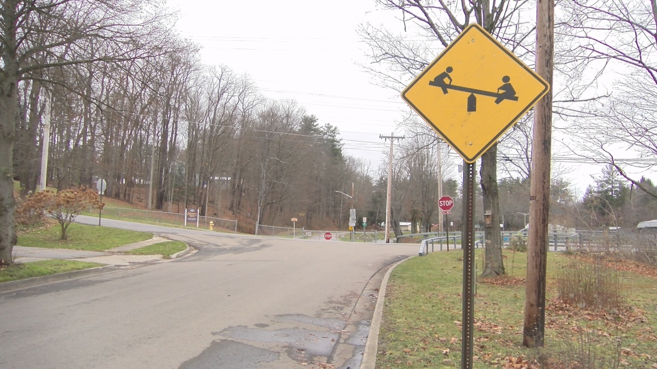 Proposed Dog Park Sparks Debate In Falconer WNY News Now