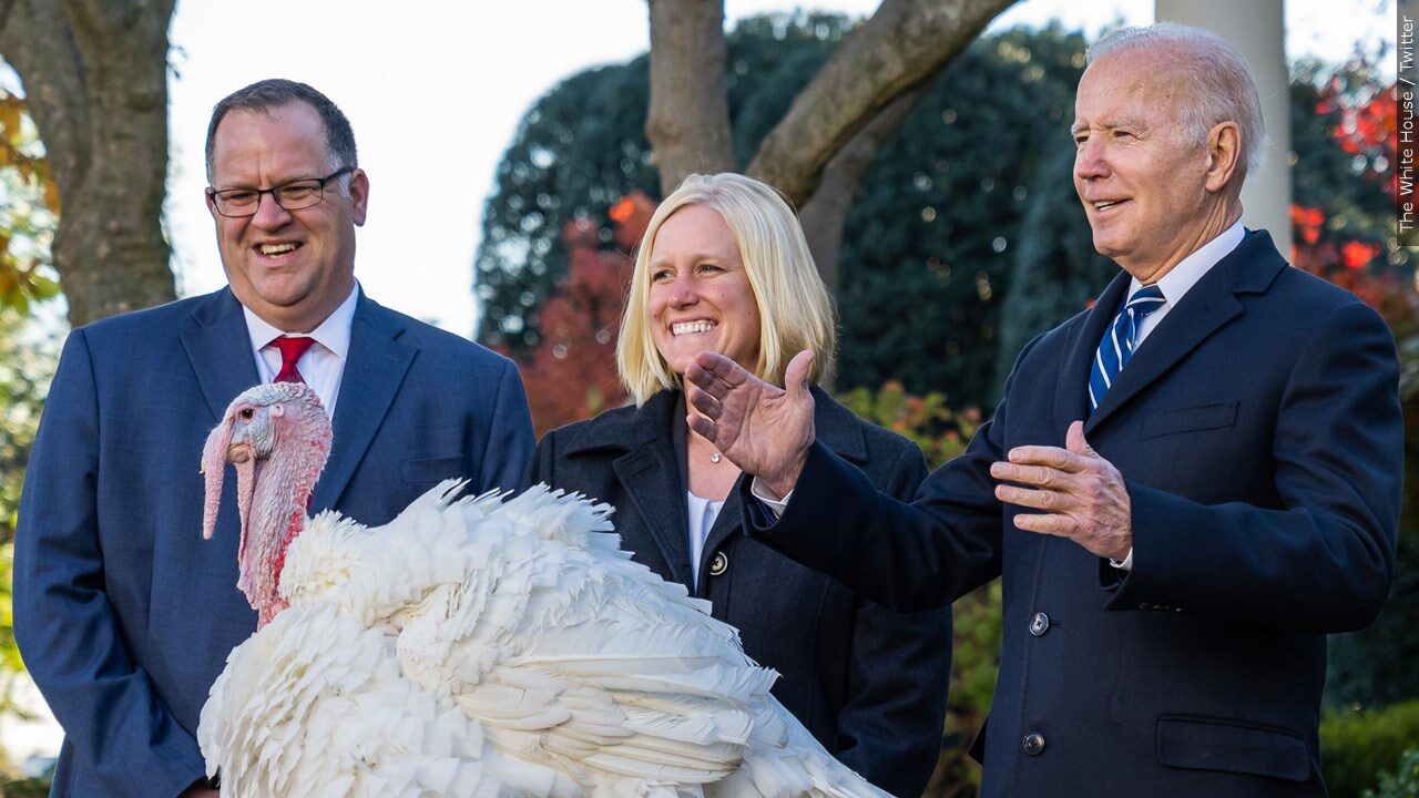 Biden Pardons National Thanksgiving Turkey WNY News Now