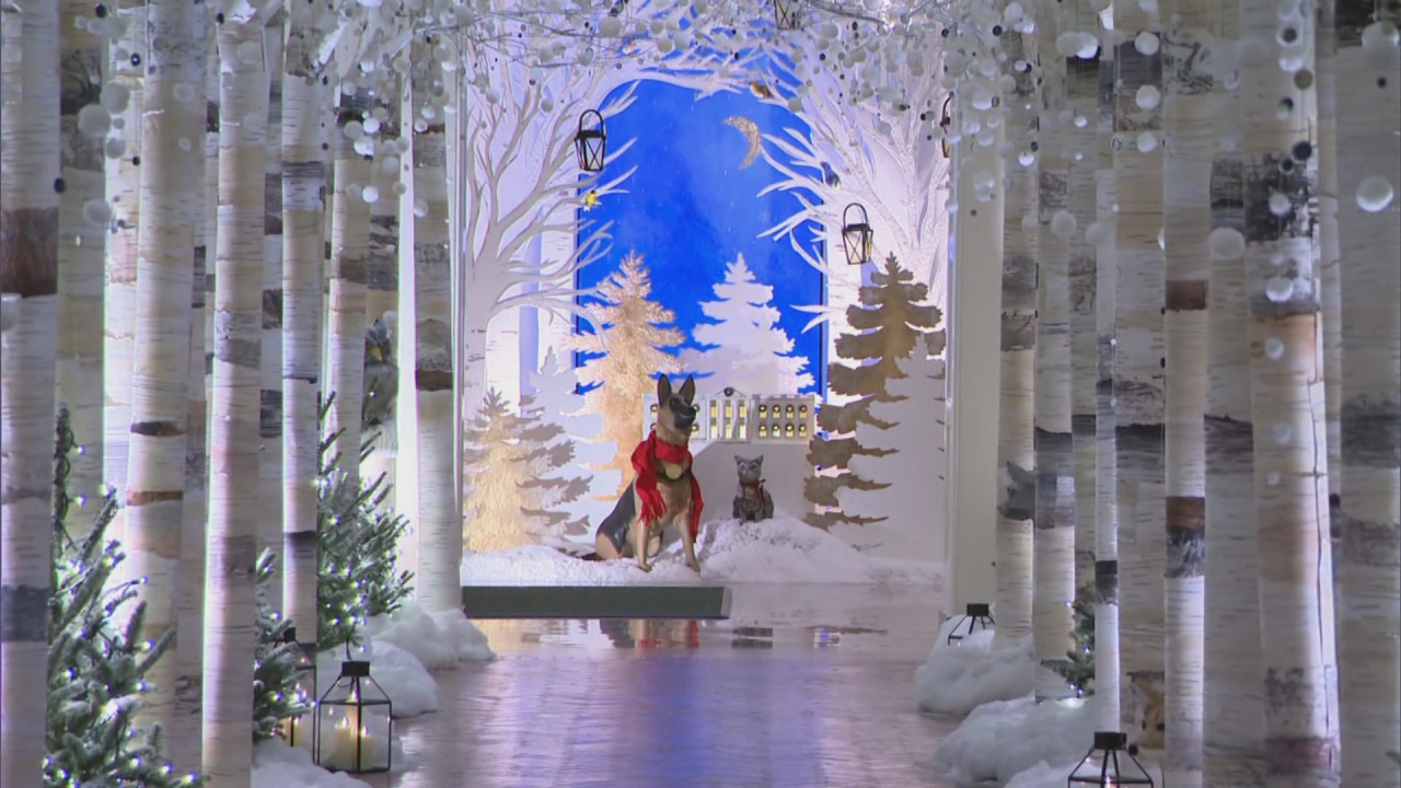 ‘We the People’ is the White House’s theme for the holidays