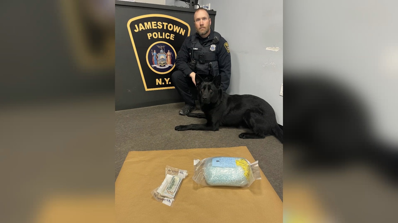 Florida Woman Faces Federal Charges Following Major Fentanyl Bust