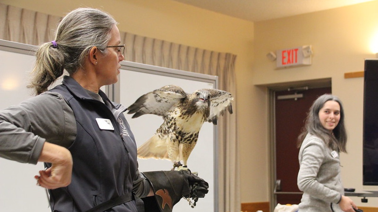 Audubon Celebrates Christmas with the Critters