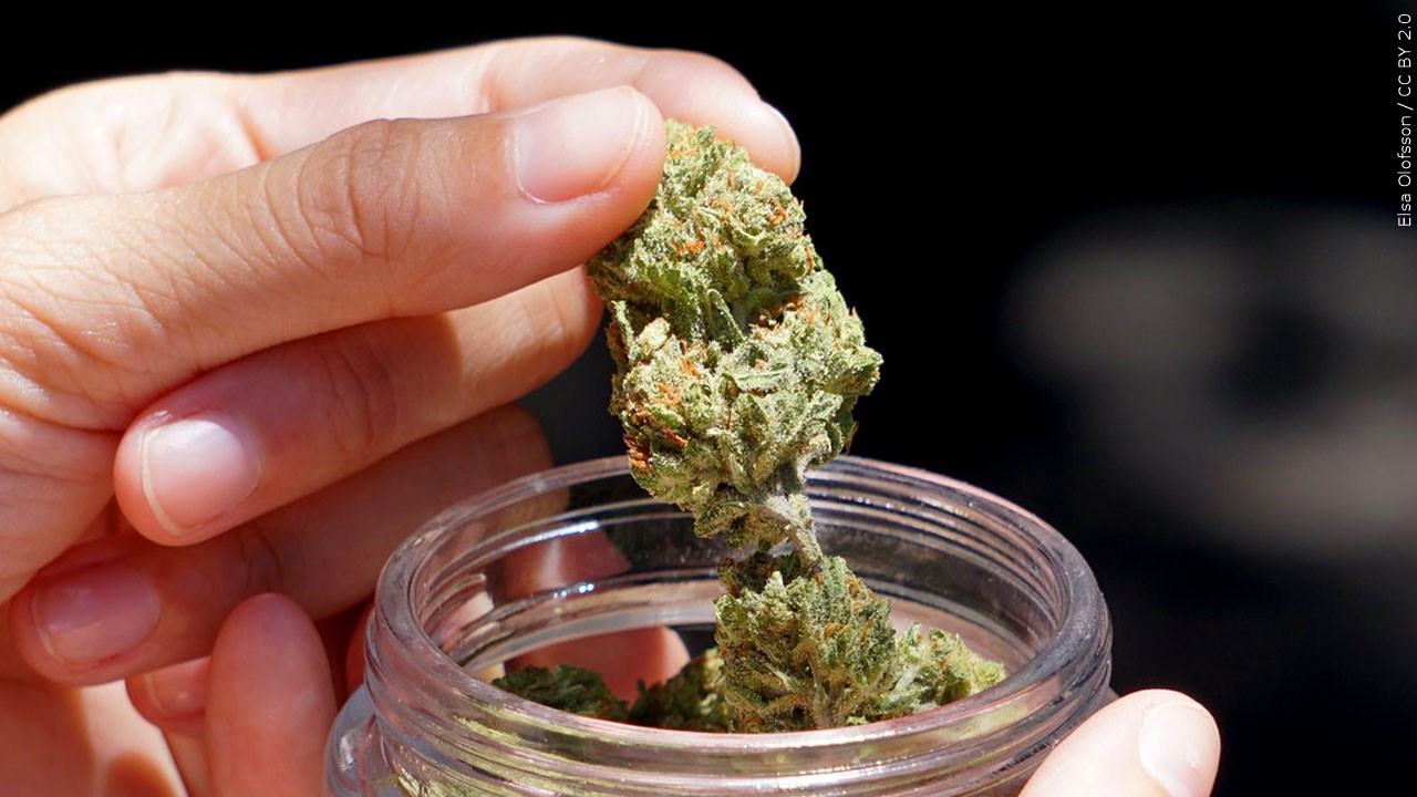 GOVERNOR HOCHUL ANNOUNCES OVER 400 ADULT-USE CANNABIS LICENSES ISSUED IN 2024