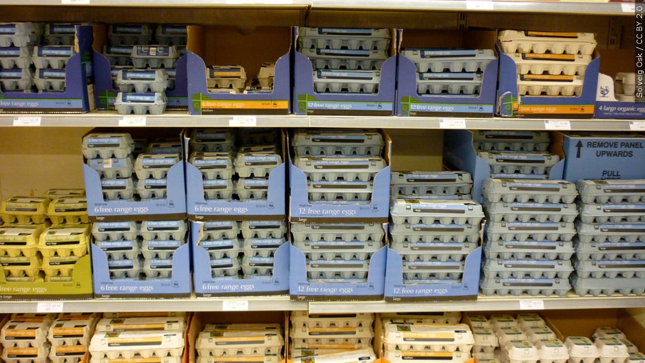 Bakeries Struggle Under High Egg Prices