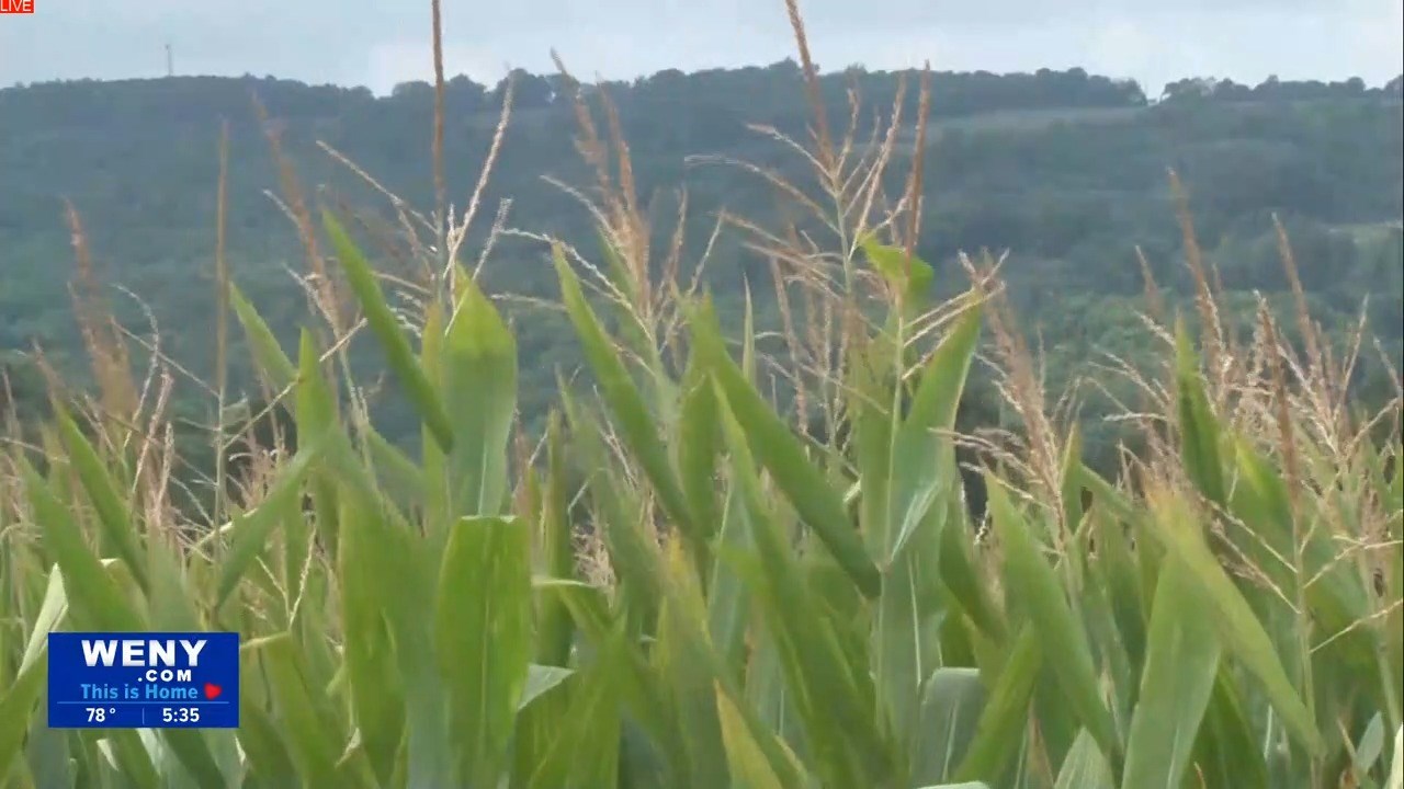 Gov. Hochul’s State of the State proposals to address agricultural development