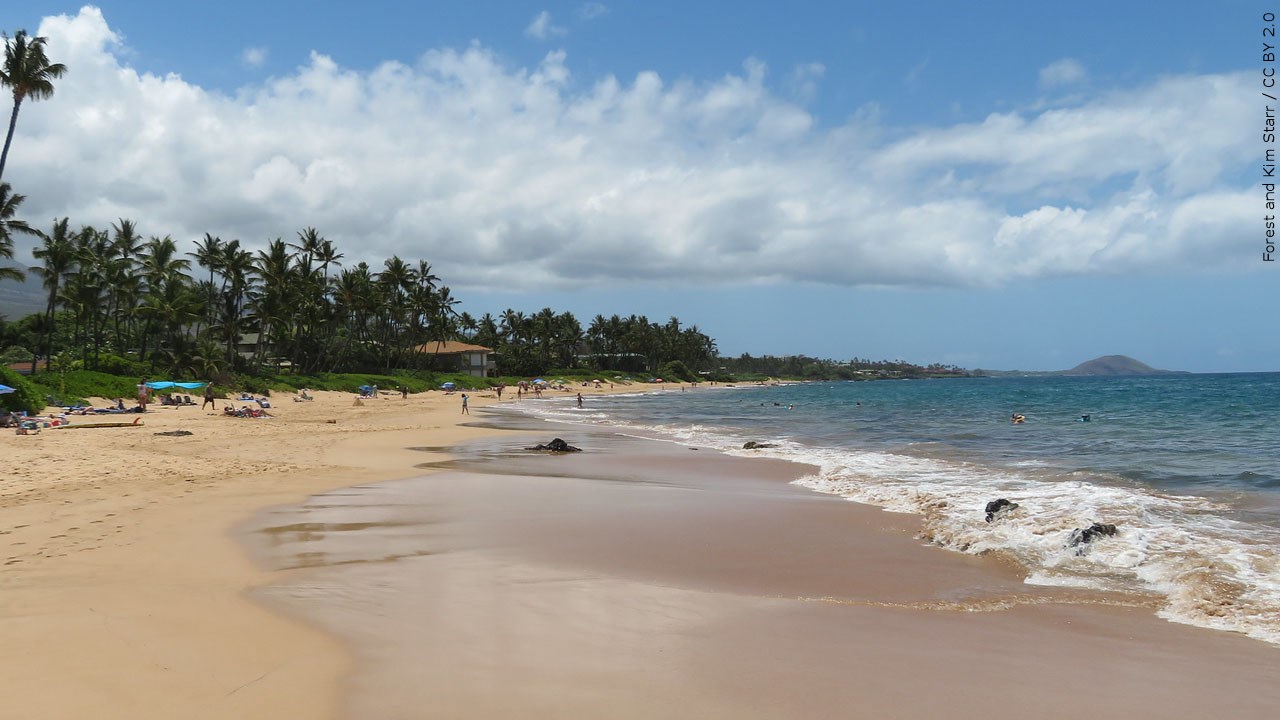 2022 was fifth or sixth warmest on record as Earth heats up