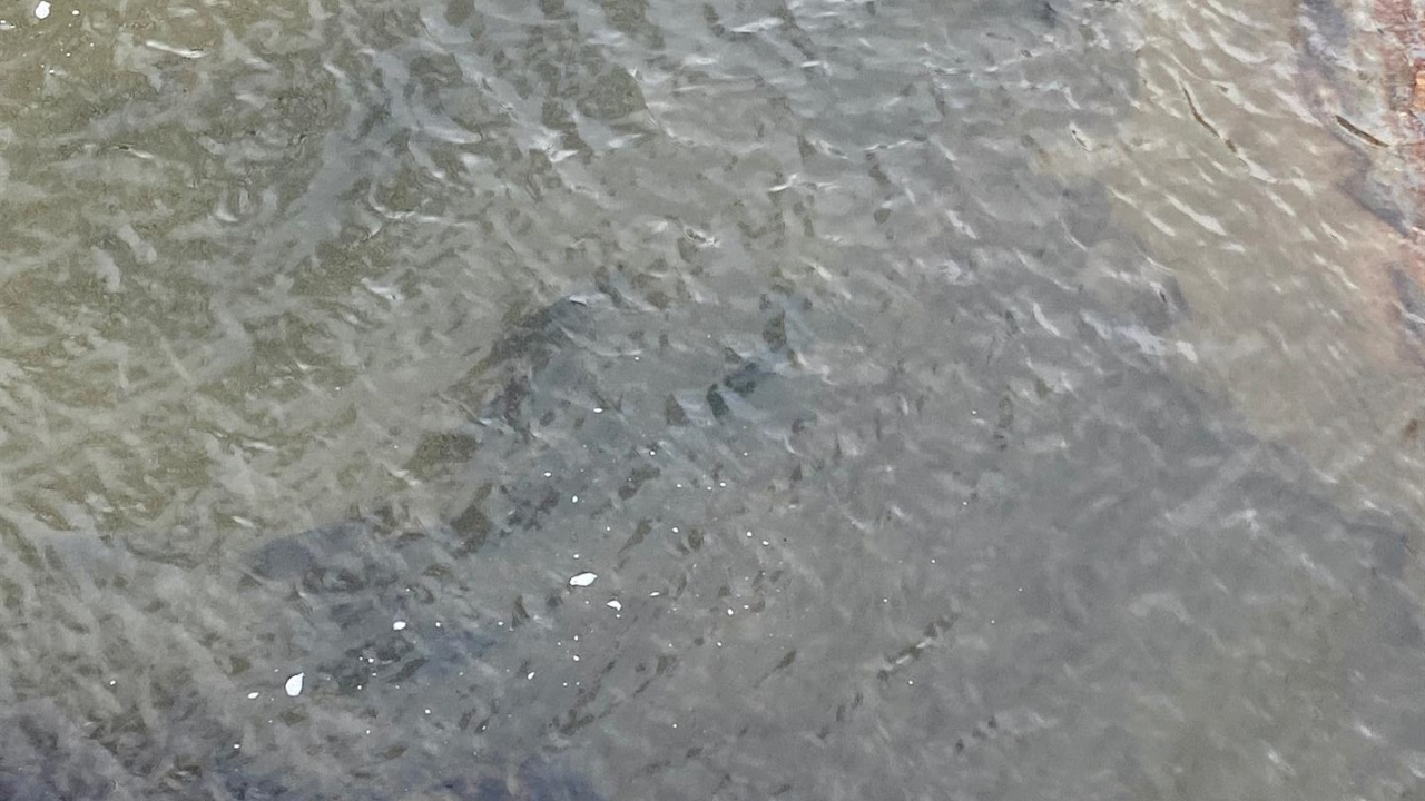 Anxious Anglers Wait for Lakes to Freeze