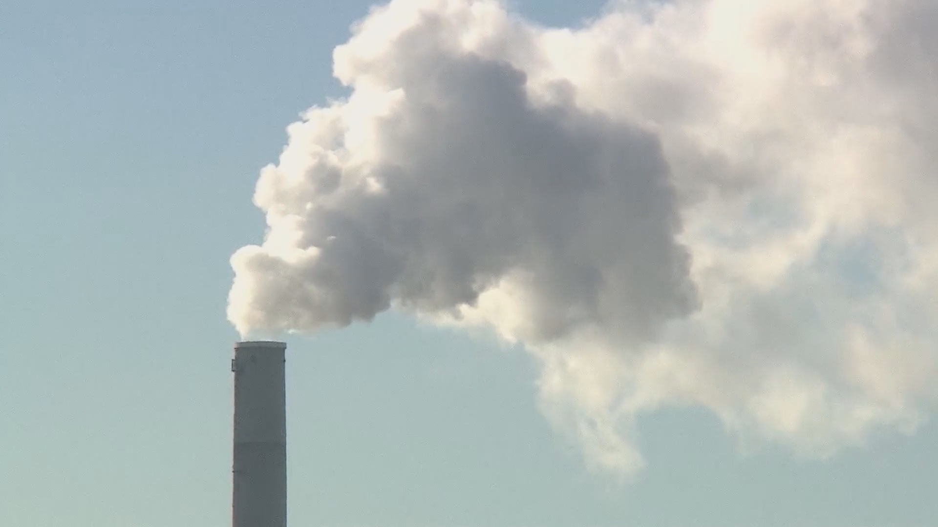 New York’s $21.5 Million Green Initiative Targets Emissions, Carbon Sequestration