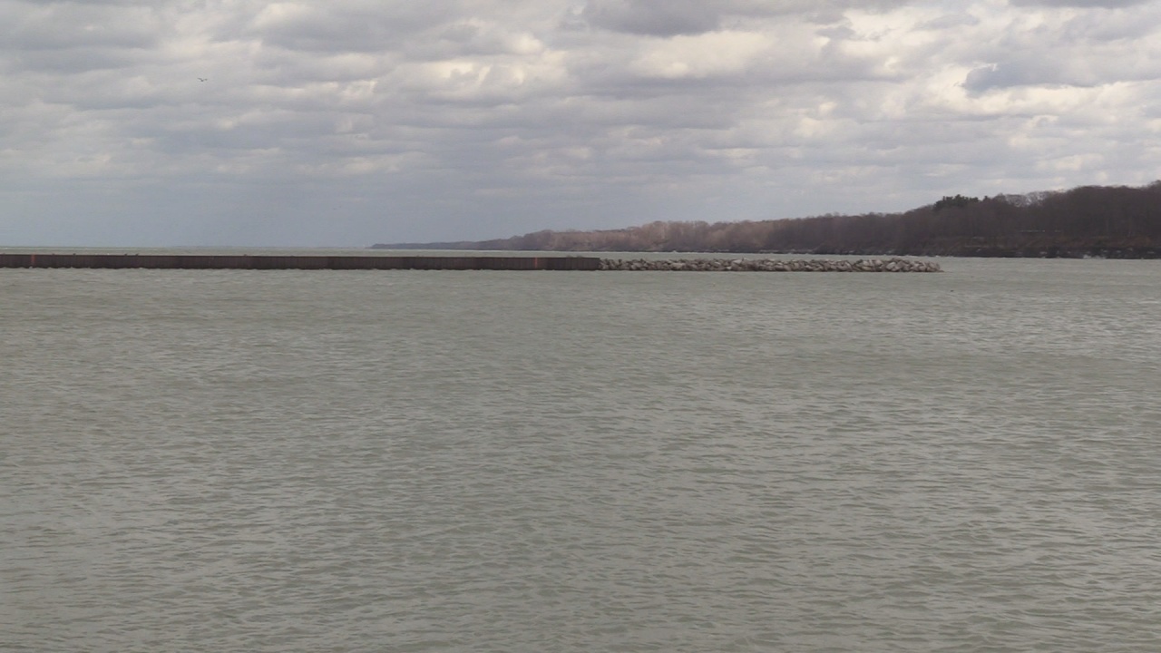 Fight To Save Barcelona Harbor Underway In Westfield