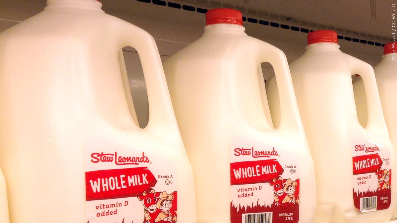 NYS Senate and Assembly Agriculture Committees Pen Bipartisan Letter