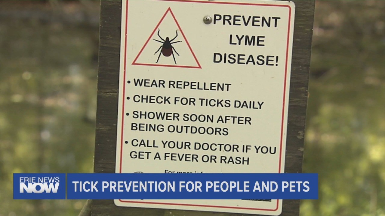 Tick Prevention for People and Pets