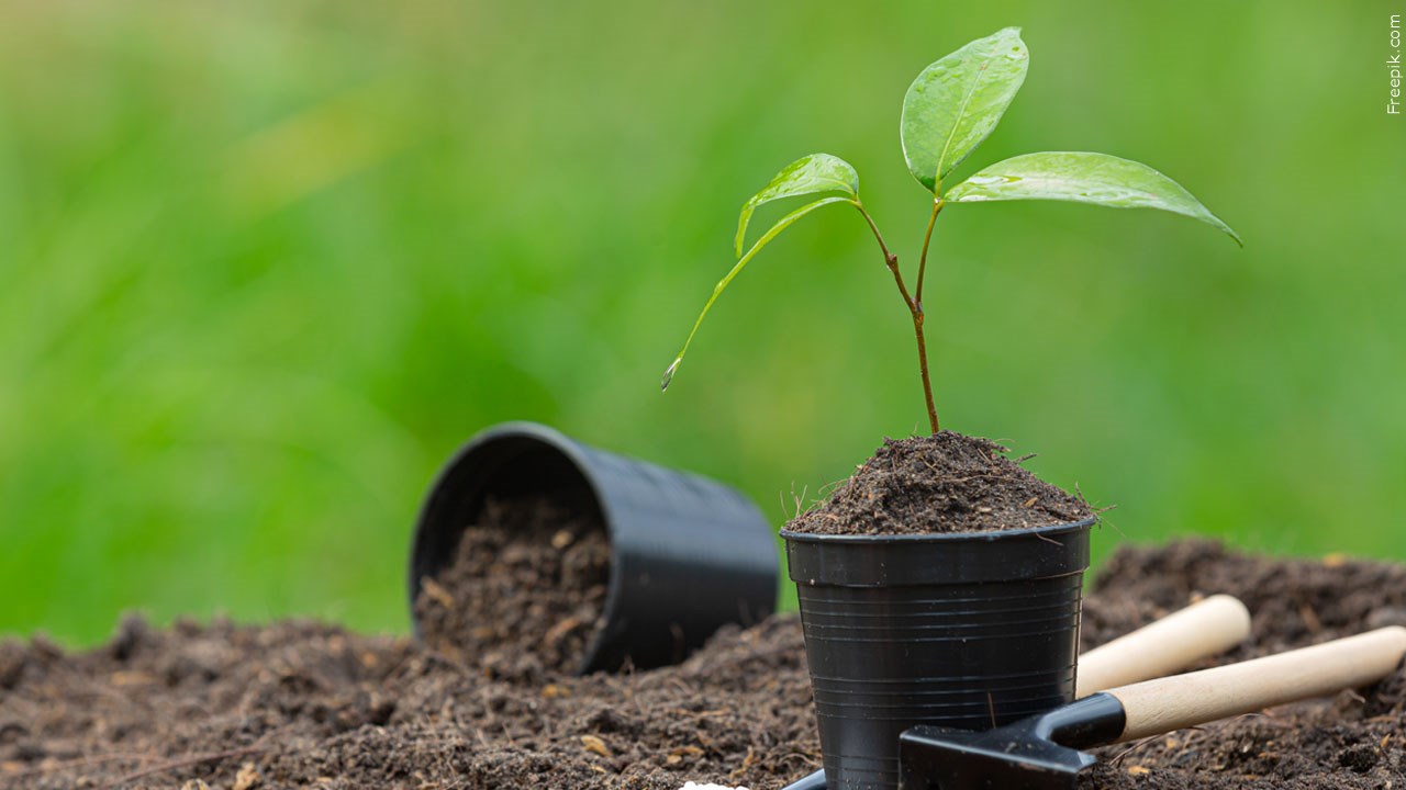 Important gardening tips for the upcoming season