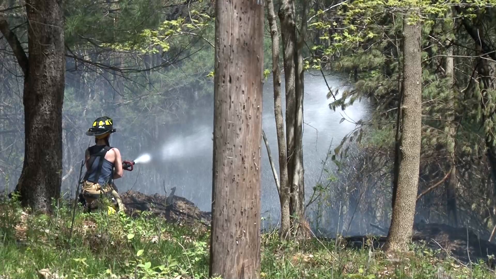 Staying safe during the brush fire season