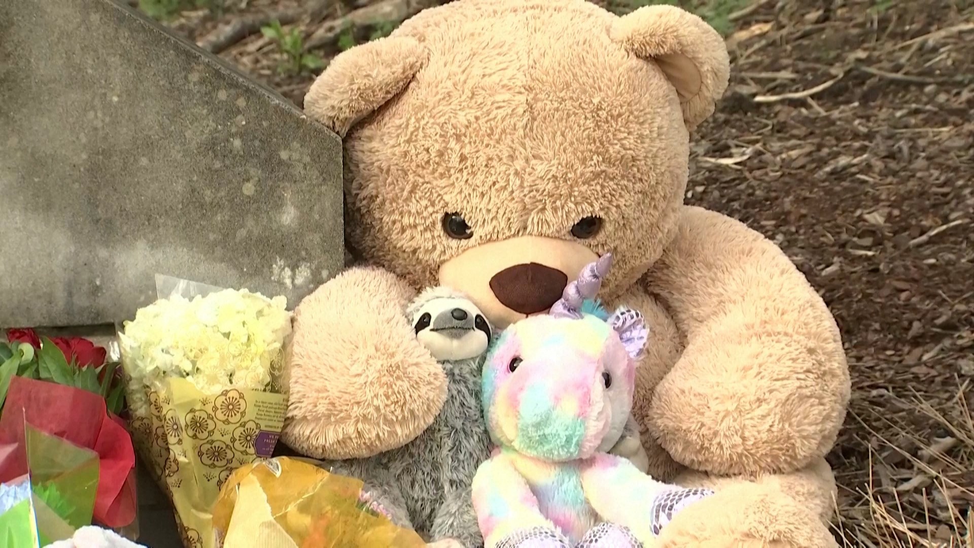 NY lawmakers respond to Nashville school shooting
