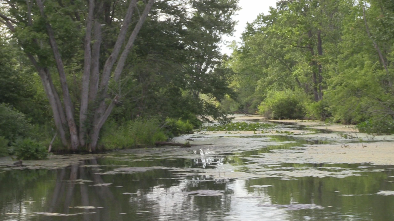 Work On Jamestown’s Chadakoin River Likely To Begin Next Month