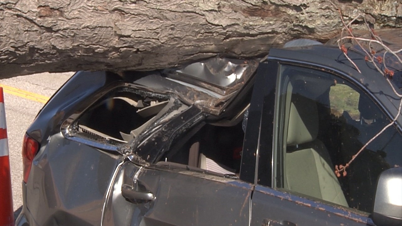Local Insurance Companies See Rise in Claims Due to Damaging Weather