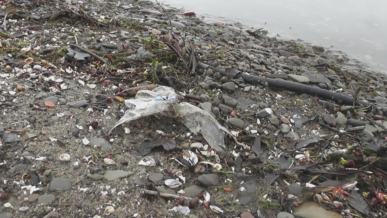 Earth Day Cleanup Returns To Mayville