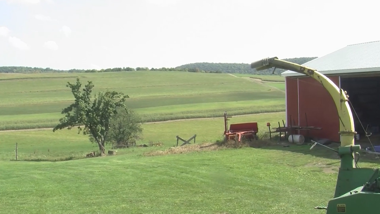 Proposed Legislation to bring Students to Agriculture Industry with Student Loan Forgiveness