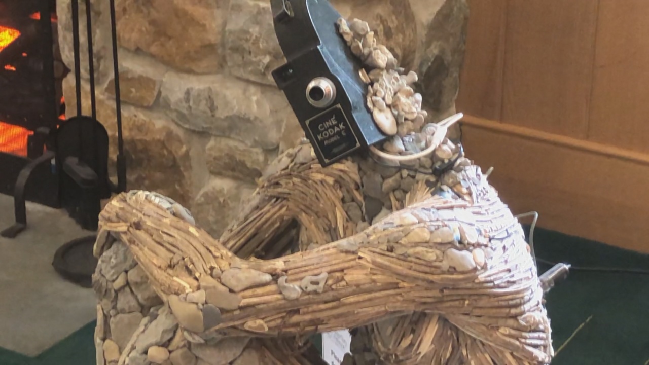 Local Museum Unveils New Exhibition 