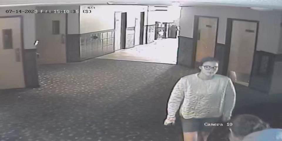 Public Assistance Wanted To Identify Duo