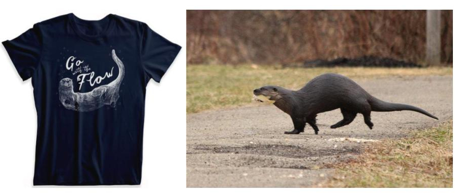 Unique River Otter Shirts Encourage Supporting Nature Education