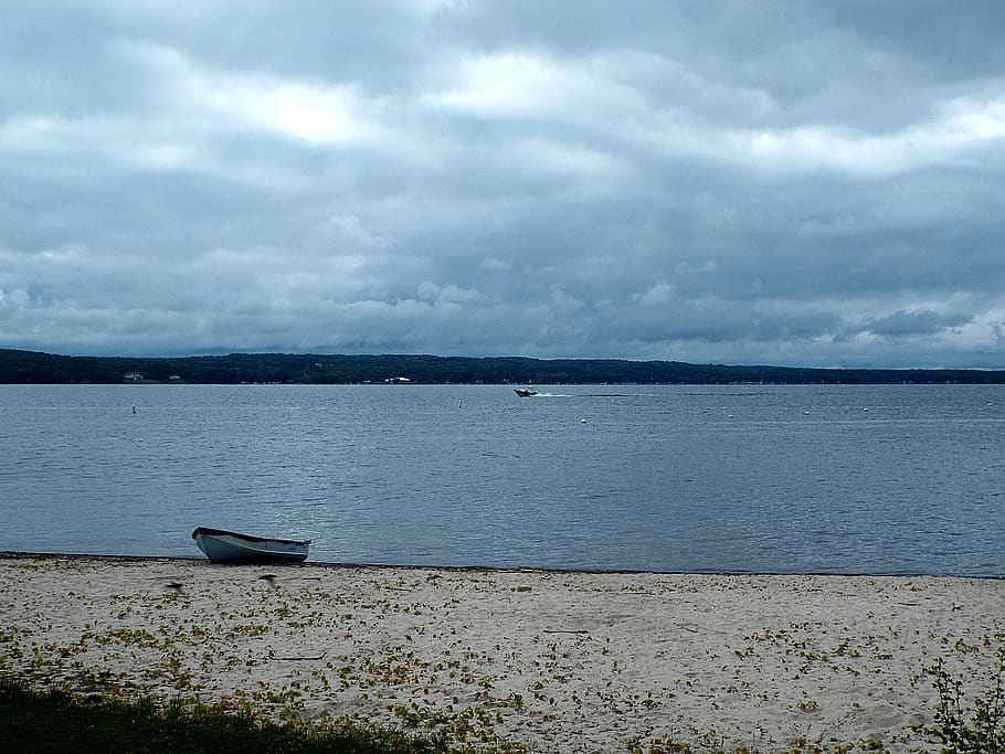 Chautauqua County Secures $200,000 in Grants for Invasive Species Combat