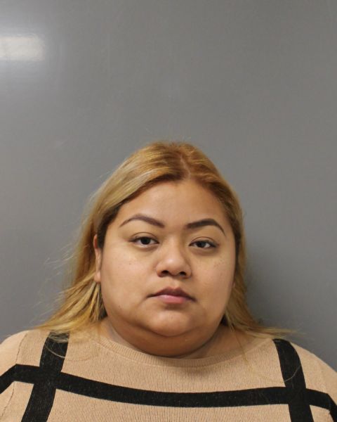 RESTAURANT OWNER PLEADS GUILTY FOR FAILING TO PAY STATE SALES TAXES