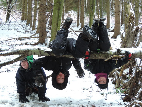 Outdoor Exploration for Kids: Audubon Hosts Winter Holiday Camps