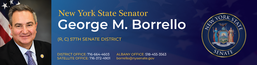 NYS Open Letter to Governor Hochul
