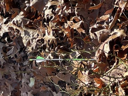 Decoy Operation Results in Multiple Citations