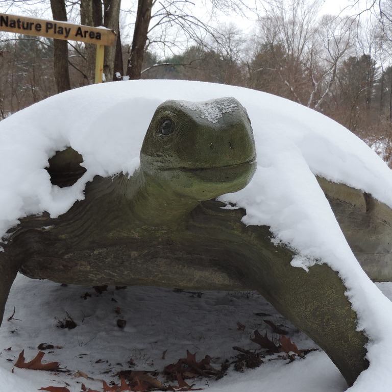 Dine Out for Audubon at Shawbucks Tuesday, February 6