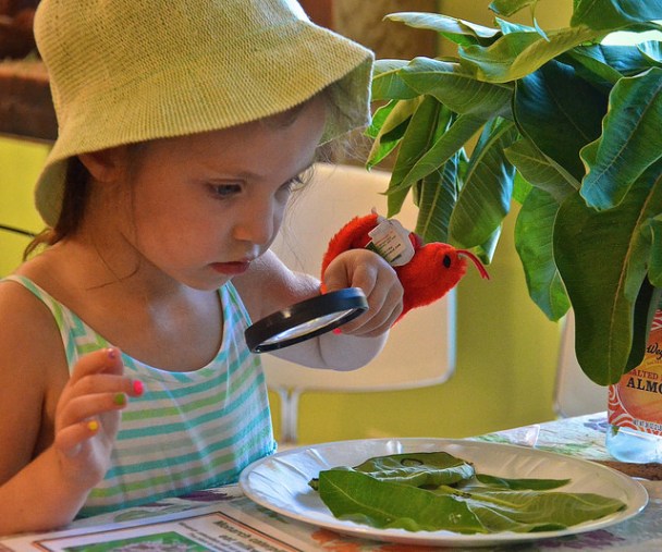 Audubon Seeking Event Sponsors/Community Partners