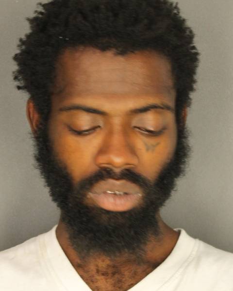 BUFFALO MAN PLEADS GUILTY FOR BURGLARIZING HOME