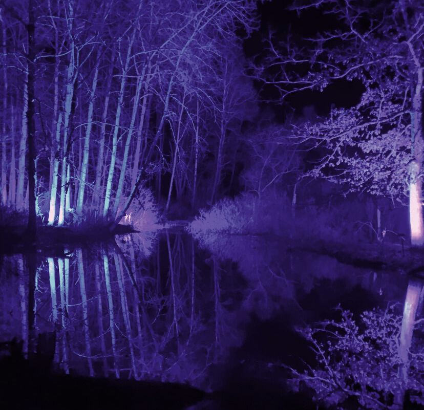 Audubon Lights Presented Three Weekends, March 22–April 7