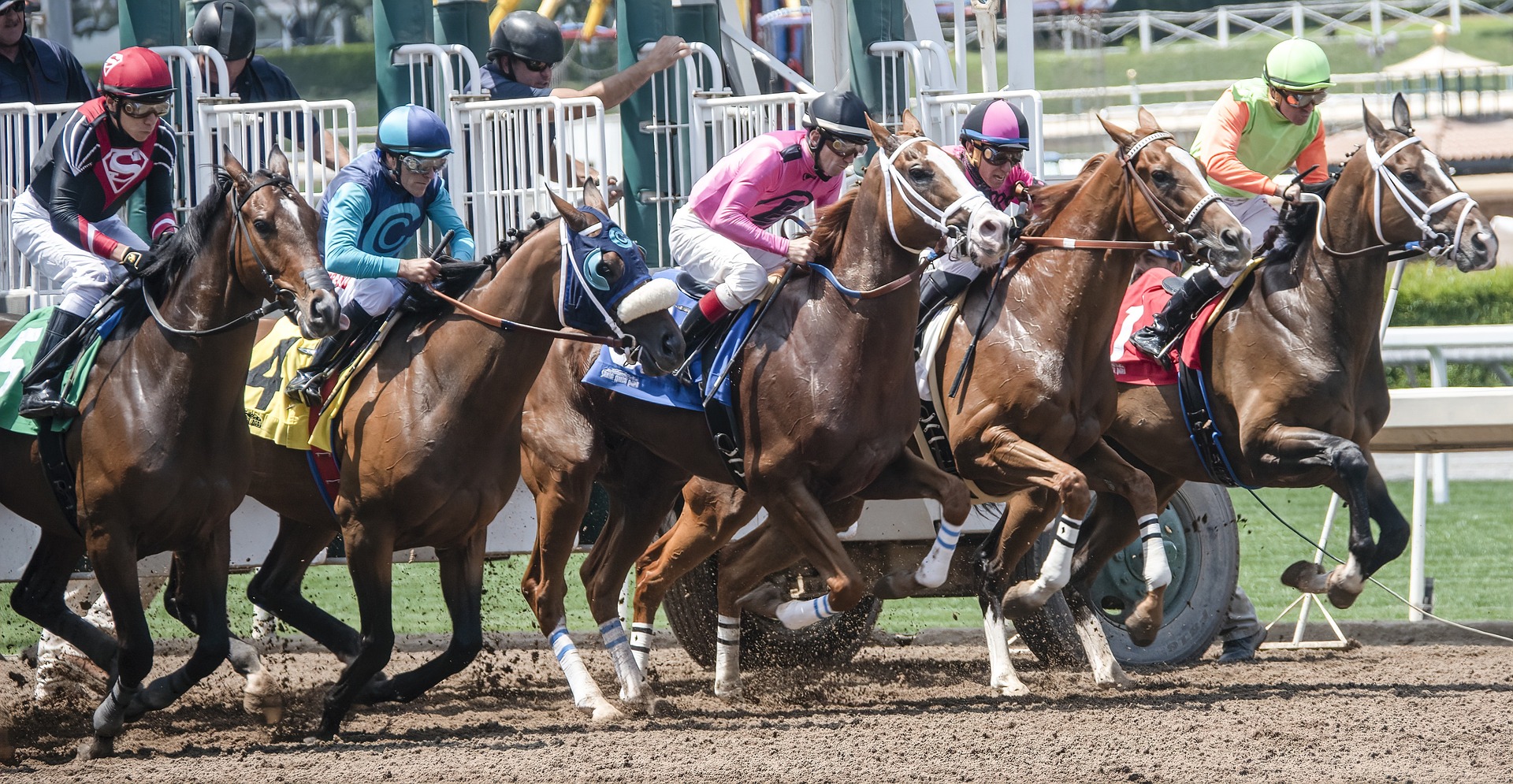 Meet Timberlake: The Leading Contender of the 2024 Road to Kentucky Derby